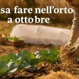Un orto autunnale con cavoli e zucche. È tempo di preparare il terreno e pensare a cosa piantare a ottobre per raccogliere in primavera.