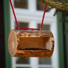 Una mangiatoia per uccelli fai da te, ricavata da un tronco d'albero, è appesa a un ramo con corda rossa, piena di semi.