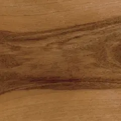 Close-up of wood grain showing distinct lighter sapwood and darker heartwood sections.