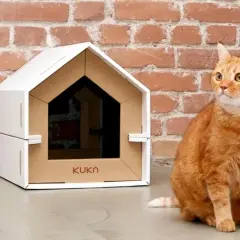 Gatto arancione seduto accanto a una cuccia per gatti fai da te in cartone, con mattoni rossi sullo sfondo.