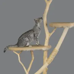 Gatto maculato su un tiragraffi per gatti fai da te, con piattaforme in legno e finta pelliccia.