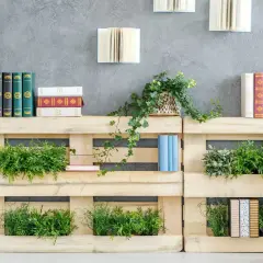 Scaffali in pallet con piante e libri, un'idea di bricolage per un angolo verde e letterario.