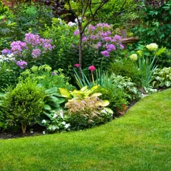 Un rigoglioso giardino con aiuole piene di fiori viola, blu e rossi, hosta e arbusti verdi. Belle idee per aiuole giardino.