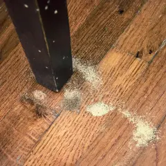 Polvere fine sul parquet vicino a una gamba di un mobile scuro, segno che i tarli con le ali hanno lasciato il loro passaggio.
