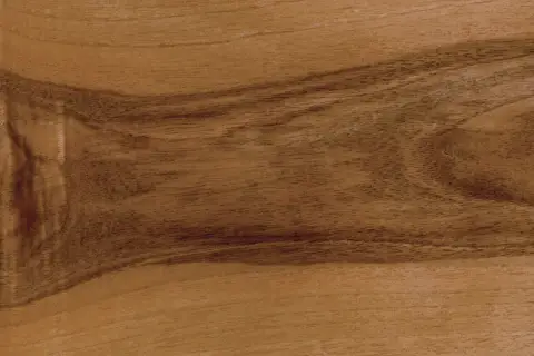 Close-up of wood grain showing distinct lighter sapwood and darker heartwood sections.