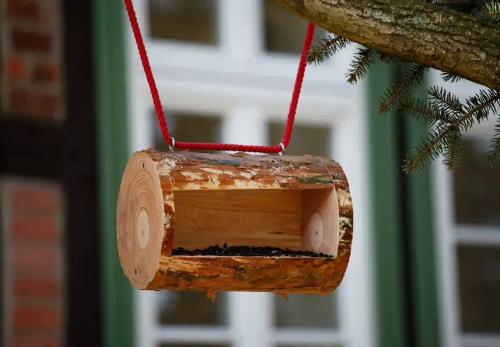 Una mangiatoia per uccelli fai da te, ricavata da un tronco d'albero, è appesa a un ramo con corda rossa, piena di semi.