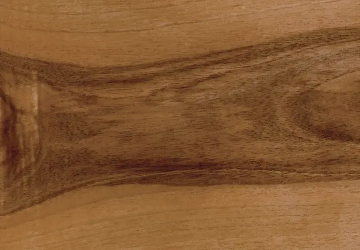 Close-up of wood grain showing distinct lighter sapwood and darker heartwood sections.