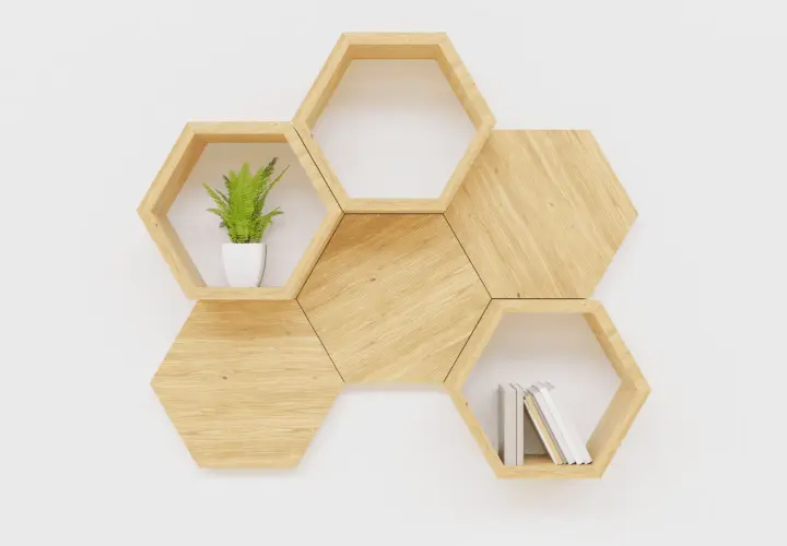 Scaffali esagonali in legno, perfetti per progetti fai da te facili. Contengono una pianta e alcuni libri.