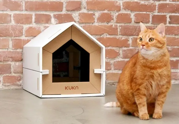 Gatto arancione seduto accanto a una cuccia per gatti fai da te in cartone, con mattoni rossi sullo sfondo.