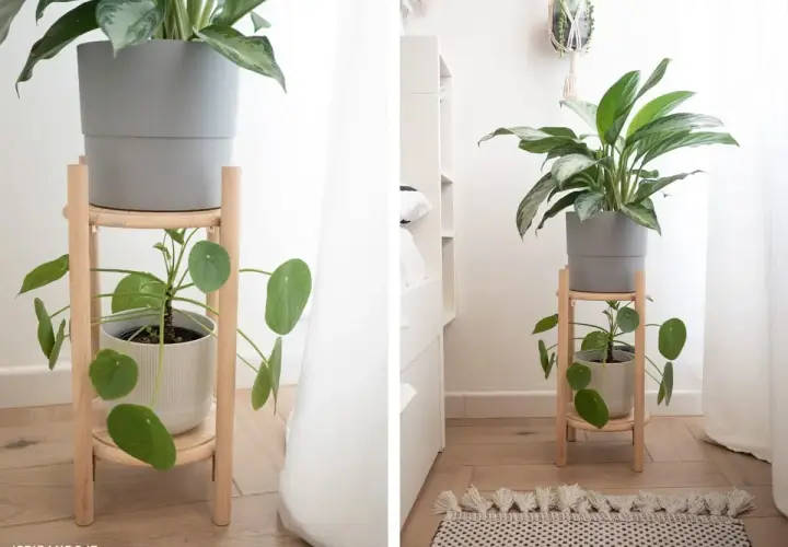 Rialzi per vasi piante fai da te in legno chiaro, con due piante su diversi livelli, per un tocco verde in casa.