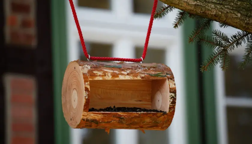 Una mangiatoia per uccelli fai da te, ricavata da un tronco d'albero, è appesa a un ramo con corda rossa, piena di semi.