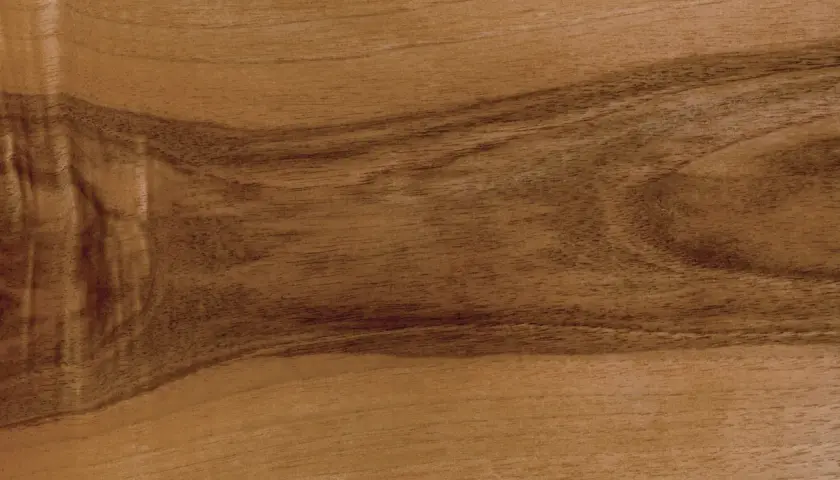 Close-up of wood grain showing distinct lighter sapwood and darker heartwood sections.