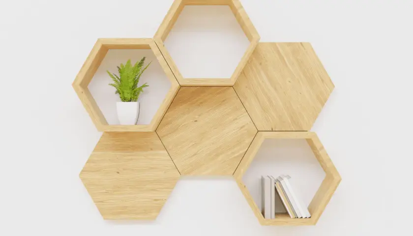 Scaffali esagonali in legno, perfetti per progetti fai da te facili. Contengono una pianta e alcuni libri.