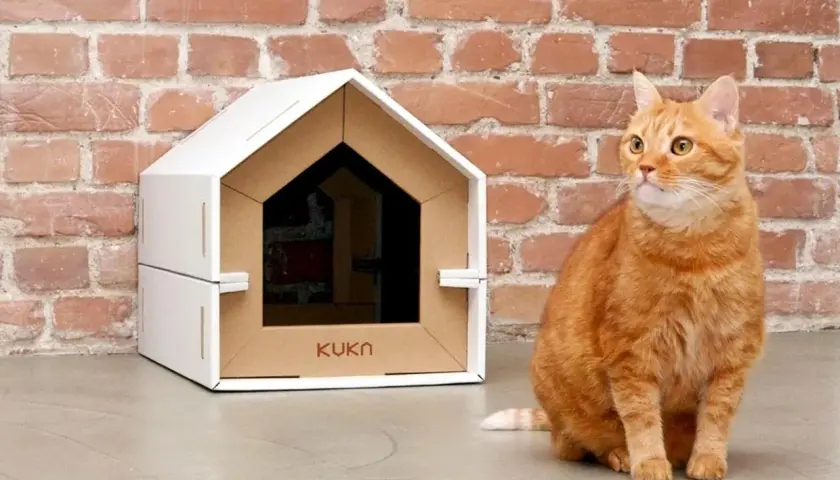 Gatto arancione seduto accanto a una cuccia per gatti fai da te in cartone, con mattoni rossi sullo sfondo.