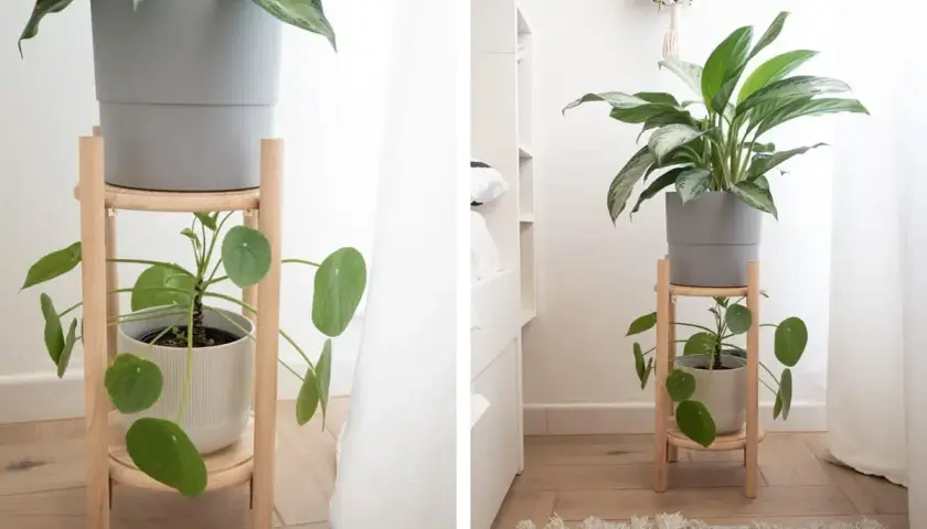 Rialzi per vasi piante fai da te in legno chiaro, con due piante su diversi livelli, per un tocco verde in casa.