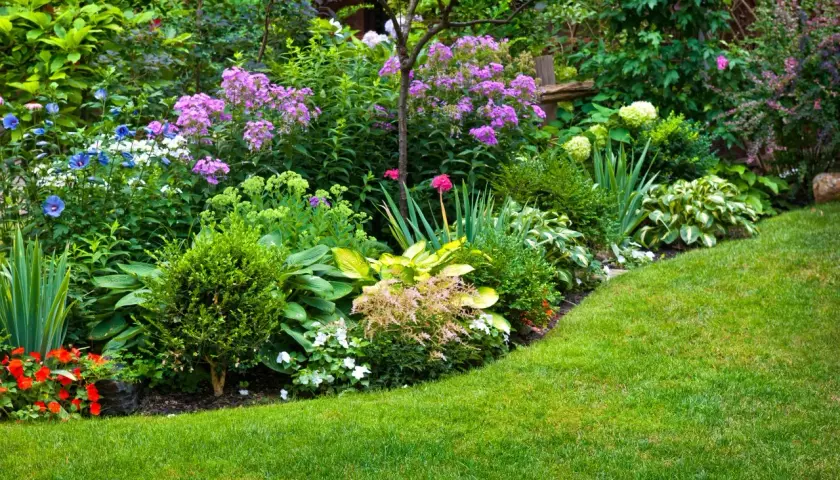 Un rigoglioso giardino con aiuole piene di fiori viola, blu e rossi, hosta e arbusti verdi. Belle idee per aiuole giardino.