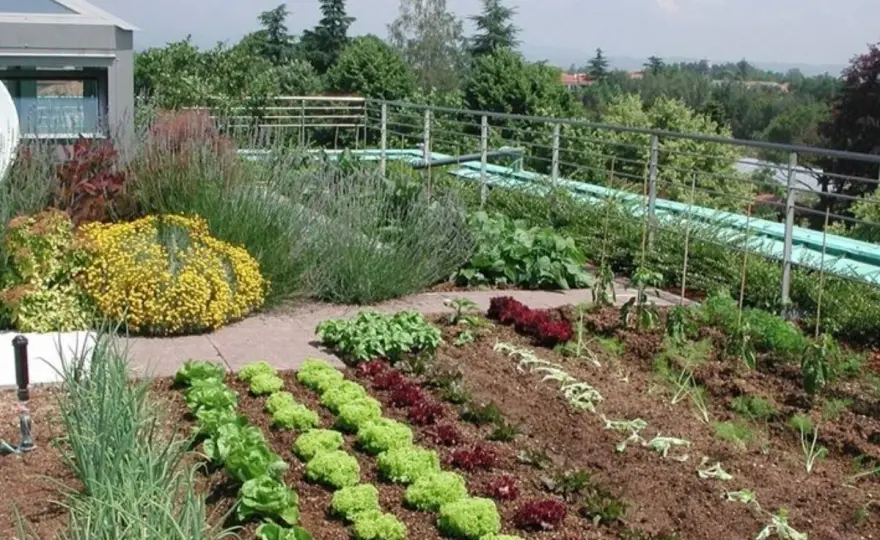 Come creare un orto in giardino senza complicarsi la vita