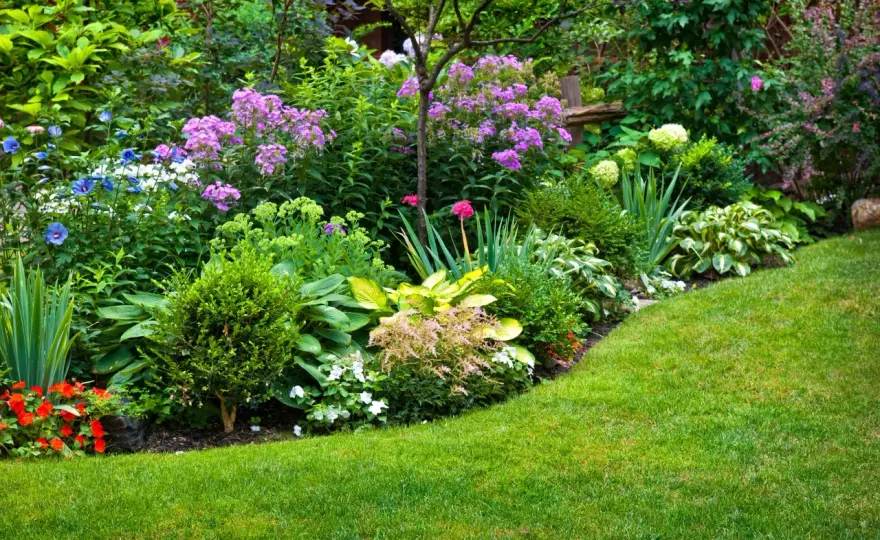 Idee per aiuole da giardino belle e facili da curare