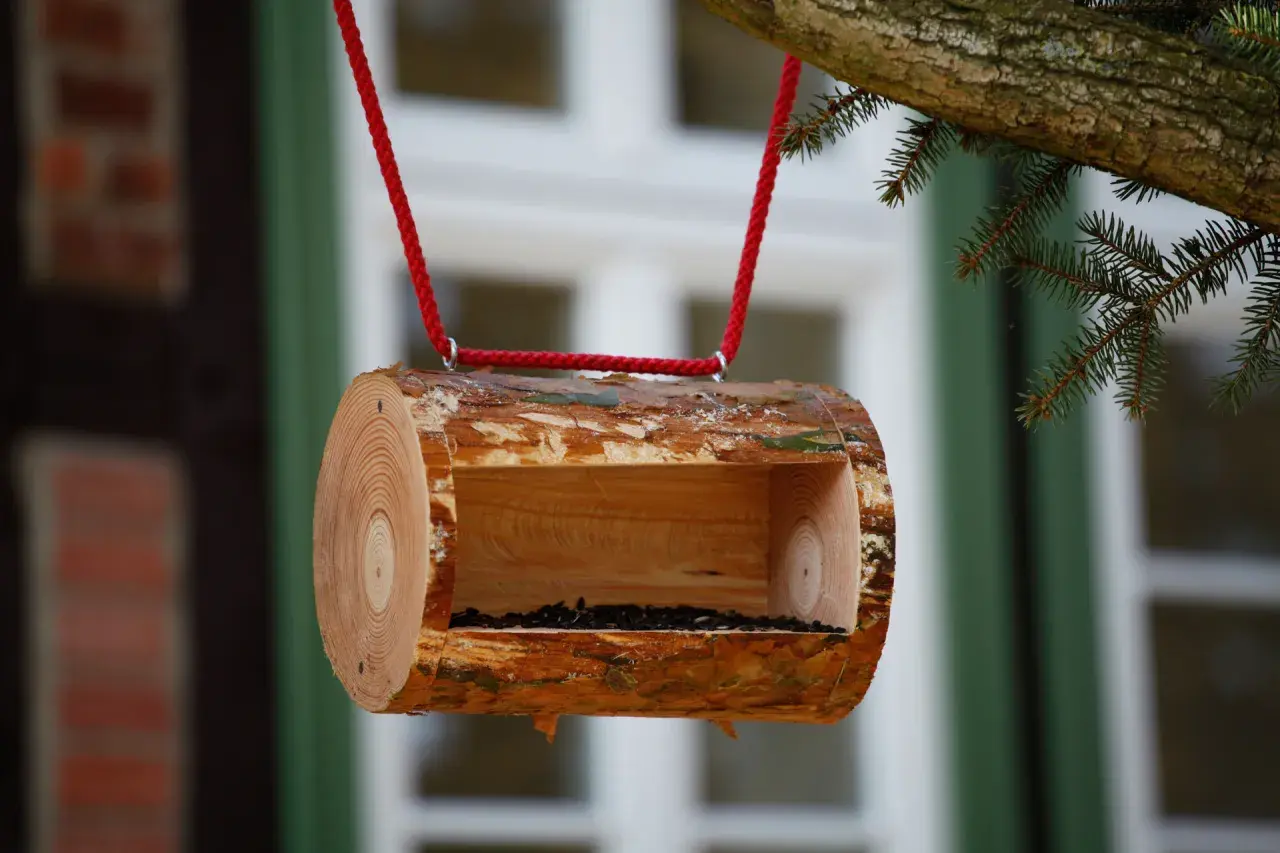 Una mangiatoia per uccelli fai da te, ricavata da un tronco d'albero, è appesa a un ramo con corda rossa, piena di semi.
