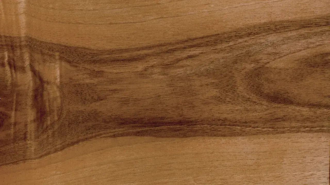Close-up of wood grain showing distinct lighter sapwood and darker heartwood sections.