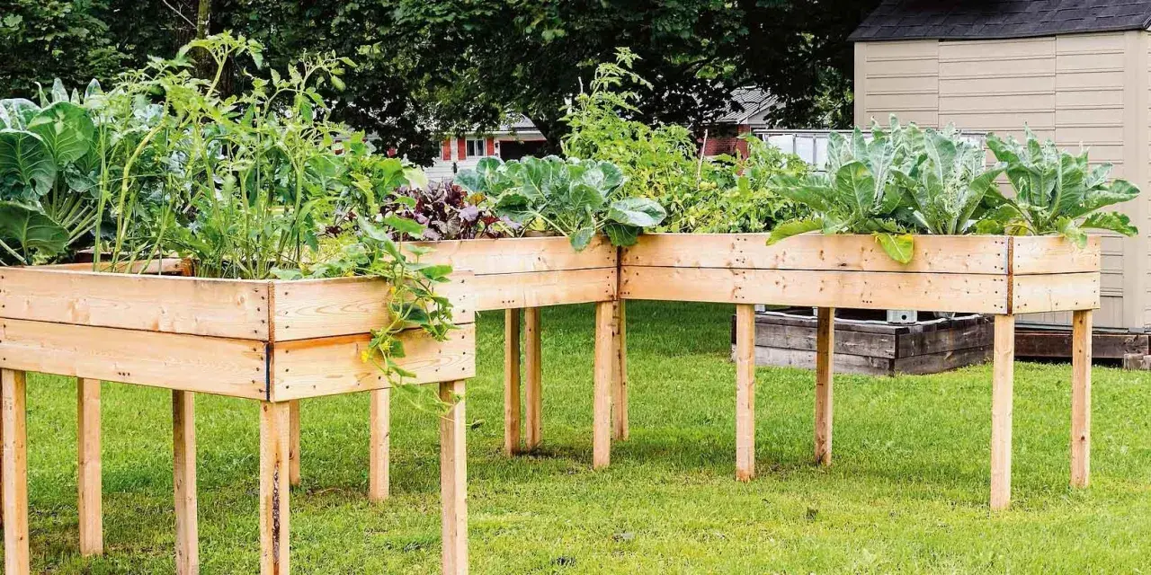 Un angolo di verde con idee orto con bancali rialzati, pieni di pomodori, cavoli e bietole.