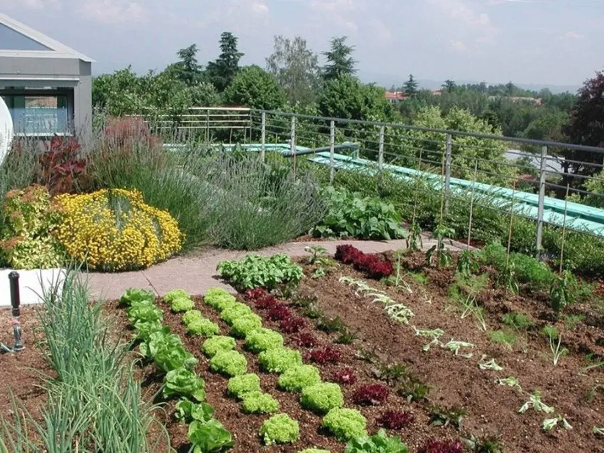 Un rigoglioso orto in giardino, con file ordinate di lattuga, cipolle e altre verdure, circondato da fiori gialli e lavanda.