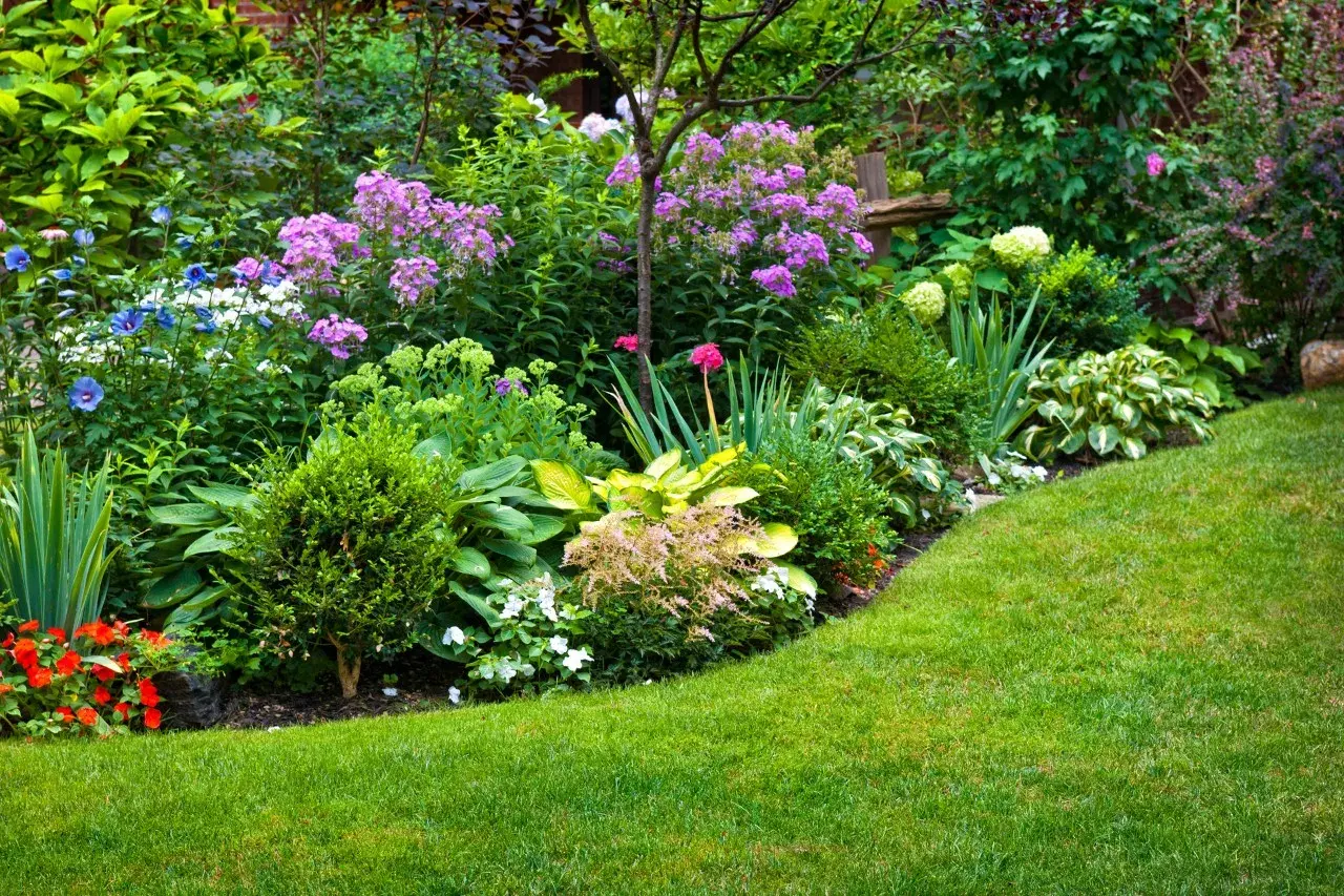 Un rigoglioso giardino con aiuole piene di fiori viola, blu e rossi, hosta e arbusti verdi. Belle idee per aiuole giardino.