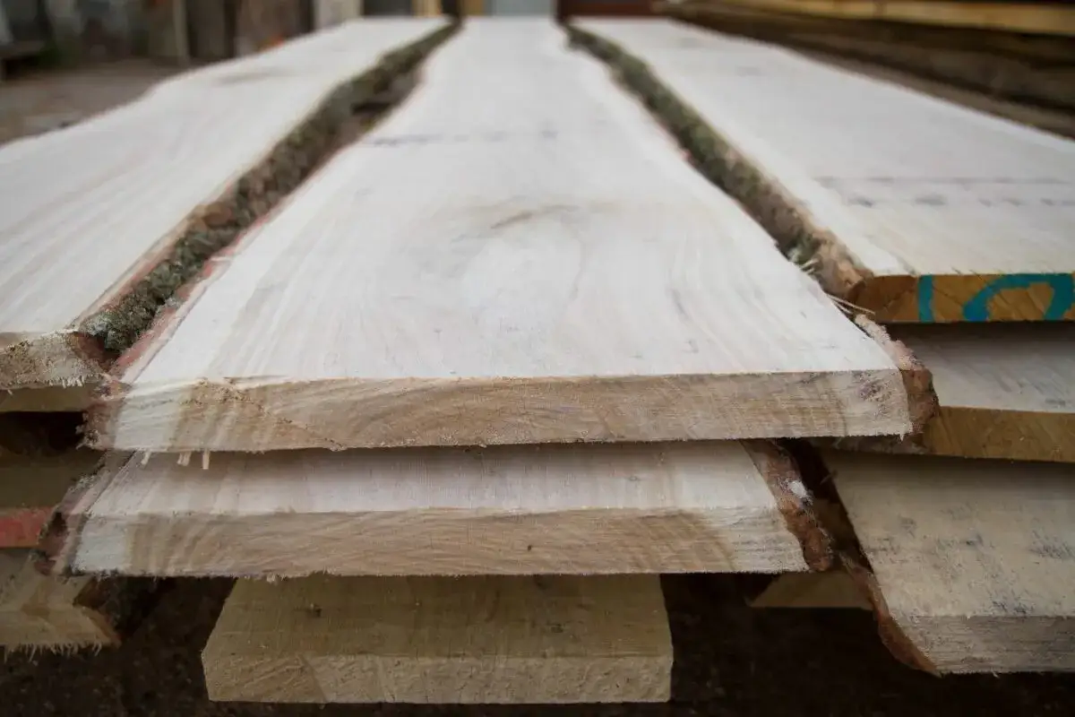Tavole di legno grezzo, con corteccia sui bordi, impilate per la stagionatura. La luce evidenzia le venature naturali del materiale.