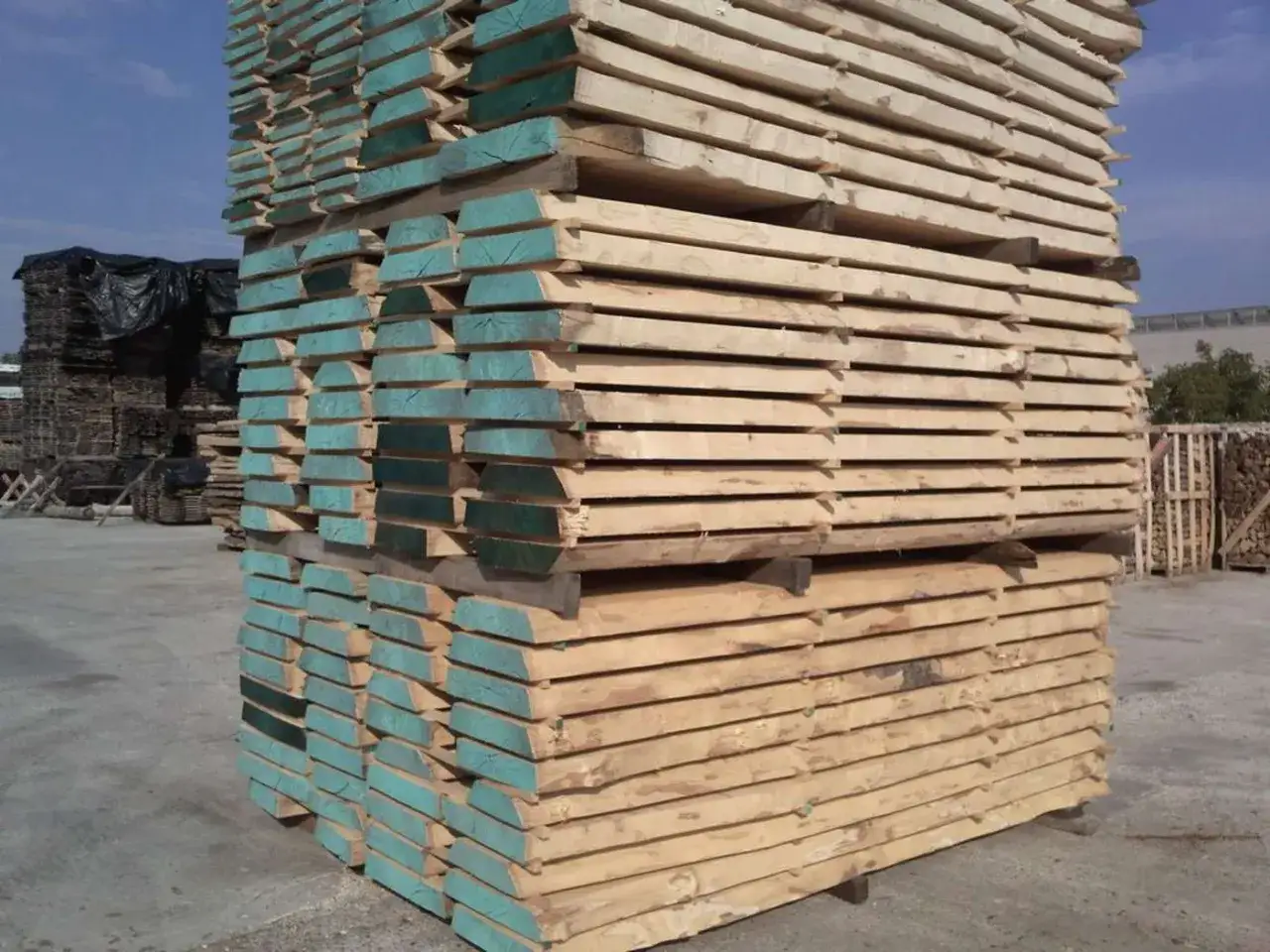 Legno grezzo impilato, pronto per stagionare fai-da-te. Le estremità trattate con vernice verde proteggono dall'umidità.