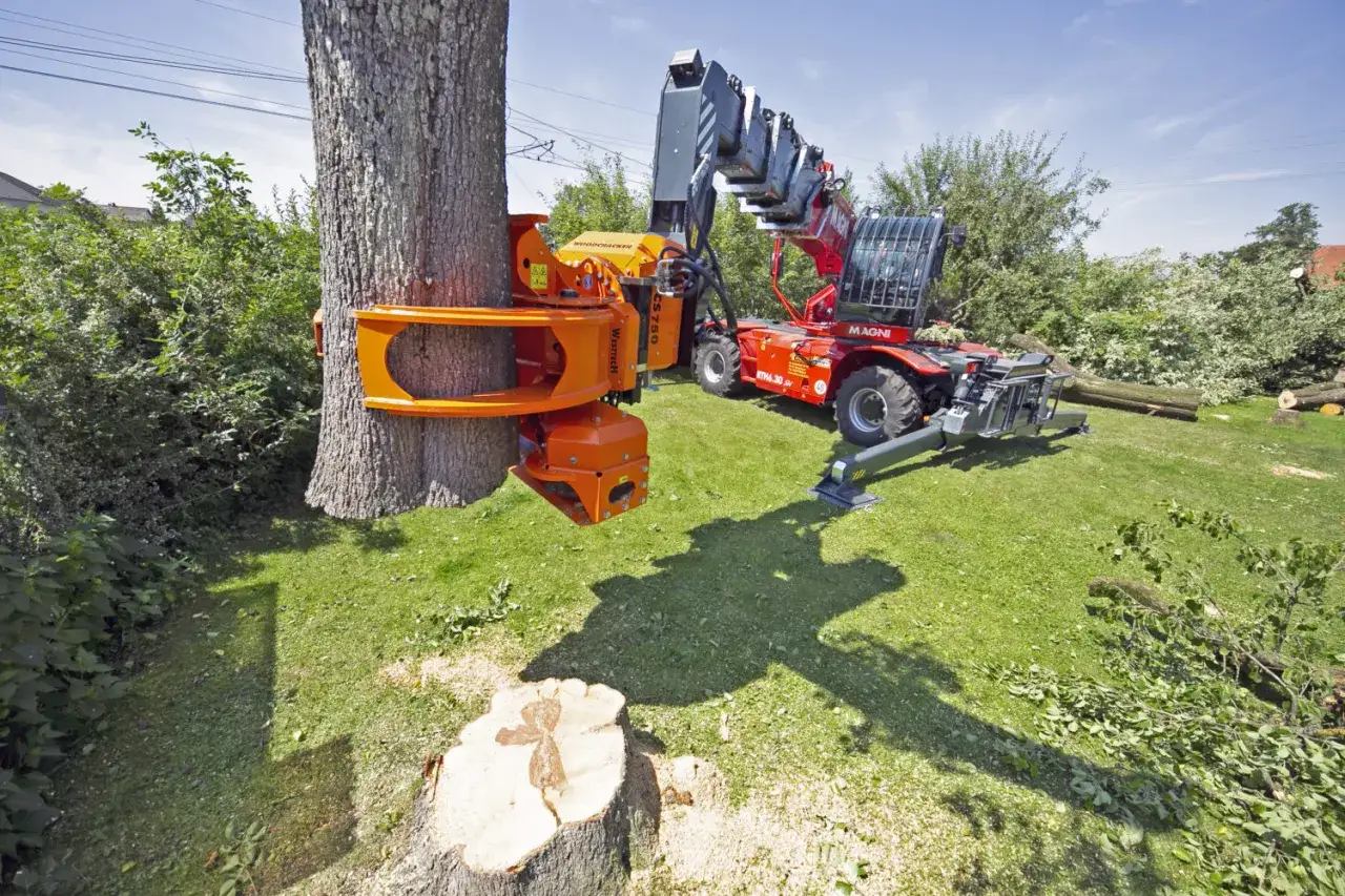 Macchinario specializzato pronto per dimostrare come abbattere un albero in modo efficiente. Tronco tagliato e attrezzatura in azione.
