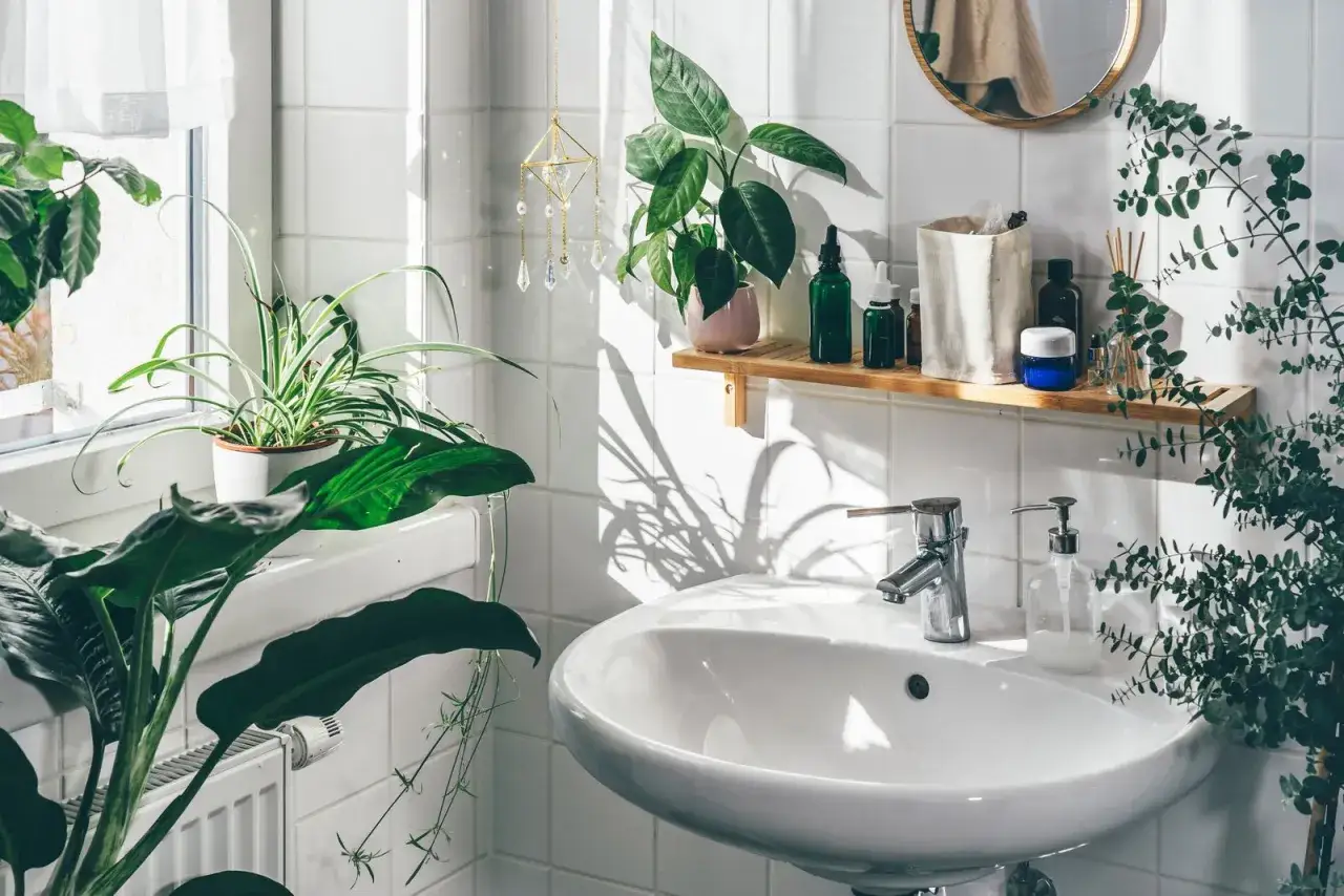 Bagno luminoso con piante che assorbono umidità, creando un'oasi verde.